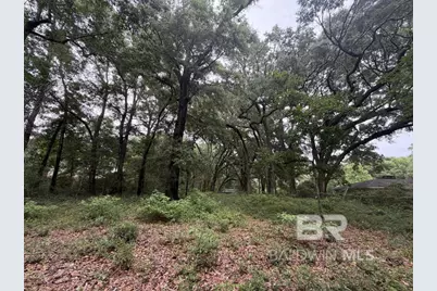 0 Highway 225, Spanish Fort, AL 36527 - Photo 2