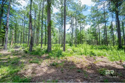 0 Hurricane Road, Bay Minette, AL 36507 - Photo 4