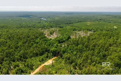 0 Joe Hall Road, Bay Minette, AL 36507 - Photo 6