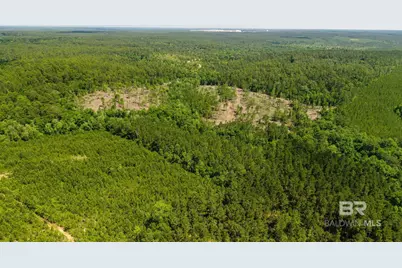 0 Joe Hall Road, Bay Minette, AL 36507 - Photo 4