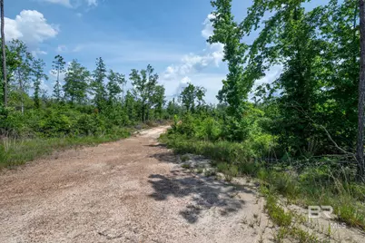 0 Joe Hall Road, Bay Minette, AL 36507 - Photo 10