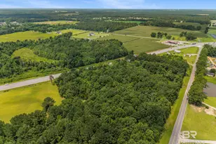 0 S Hwy 59, Loxley, AL 36551 - Photo 12