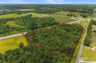 0 S Hwy 59, Loxley, AL 36551 - Photo 6