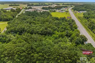 0 S Hwy 59, Loxley, AL 36551 - Photo 14