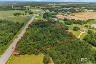 0 S Hwy 59, Loxley, AL 36551 - Photo 4