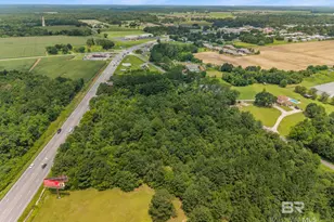 0 S Hwy 59, Loxley, AL 36551 - Photo 10