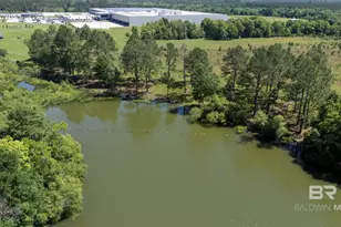 30580 Co Rd 49, Loxley, AL 36551 - Photo 14