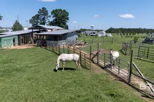 30580 Co Rd 49, Loxley, AL 36551 - Photo 28