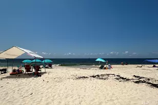 3196 State Hwy 180, Gulf Shores, AL 36542 - Photo 42