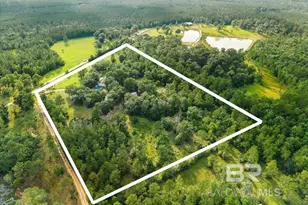 21011 River Rd, Robertsdale, AL 36567 - Photo 28