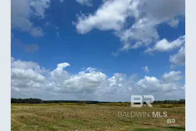 0 County Road 65, Foley, AL 36525 - Photo 2