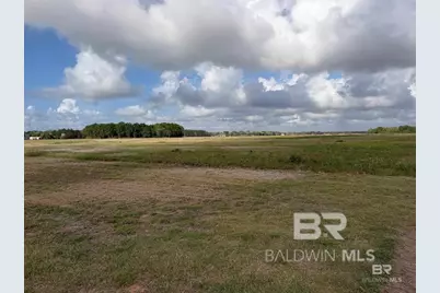0 County Road 65, Foley, AL 36525 - Photo 8