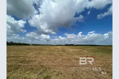 0 County Road 65, Foley, AL 36525 - Photo 6