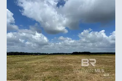 0 County Road 65, Foley, AL 36525 - Photo 4