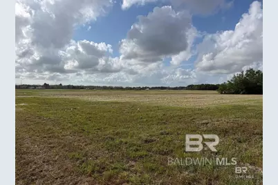 0 County Road 26, Foley, AL 36525 - Photo 12