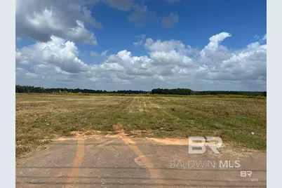 0 County Road 26, Foley, AL 36525 - Photo 4