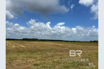 0 County Road 26, Foley, AL 36525 - Photo 6