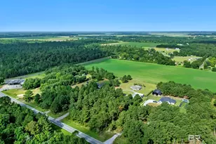 17153 Co Rd 87, Elberta, AL 36530 - Photo 58