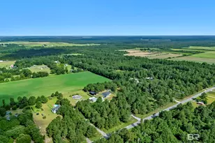 17153 Co Rd 87, Elberta, AL 36530 - Photo 64