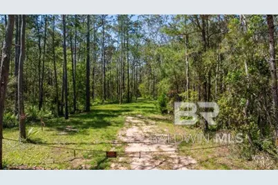 0 River Road, Fairhope, AL 36532 - Photo 4