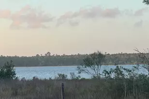 27127 Palmetto Dr, Orange Beach, AL 36561 - Photo 4
