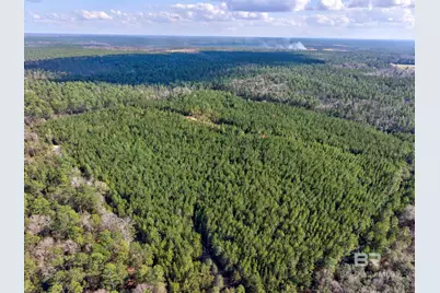 0 Jones Lane, Bay Minette, AL 36507 - Photo 10