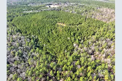0 Jones Lane, Bay Minette, AL 36507 - Photo 8