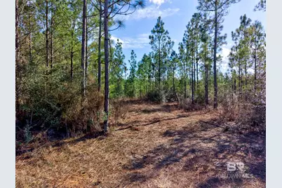0 Jones Lane, Bay Minette, AL 36507 - Photo 16