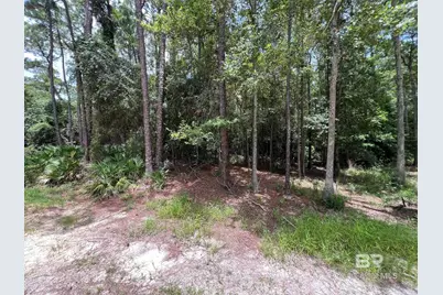 0 Galloway Lane, Gulf Shores, AL 36542 - Photo 2