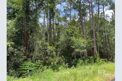 0 Galloway Lane, Gulf Shores, AL 36542 - Photo 1