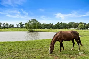 25331 Austin Rd, Daphne, AL 36526 - Photo 50