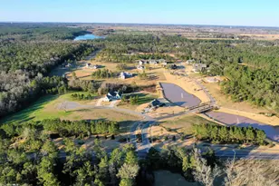 448 Leavie Ln, Fairhope, AL 36532 - Photo 1