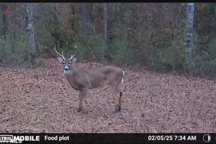 0 Cactus Ct, Elberta, AL 36530 - Photo 1