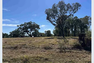 0 Hampton Road, Mobile, AL 36608 - Photo 1