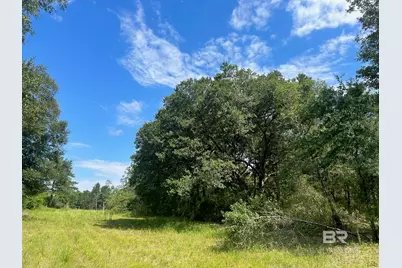 0 Newman Road, Mobile, AL 36695 - Photo 1