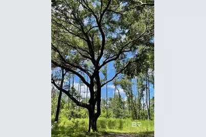 12293 Comalander Road, Fairhope, AL 36532 - Photo 1