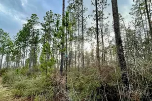 3700 Block Hwy 168, Century, FL 32535 - Photo 1