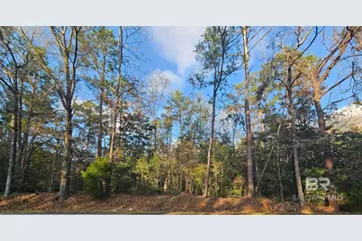 0 County Road 138, Bay Minette, AL 36507 - Photo 1