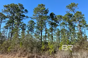 Robert White Rd, Bay Minette, AL 36507 - Photo 1