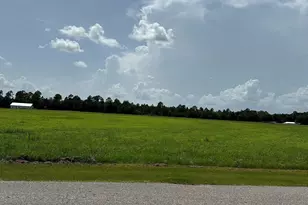 000 Hwy 90, Robertsdale, AL 36567 - Photo 1