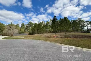 0 Legacy Ln, Mobile, AL 36608 - Photo 1