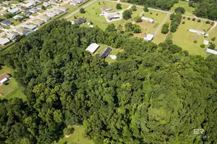 17385 Co Rd 16, Foley, AL 36535 - Photo 1