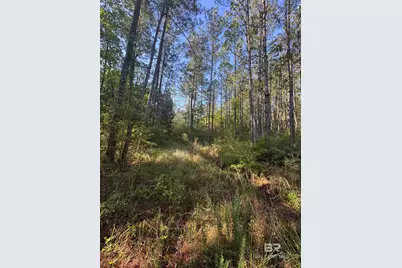 0 Blakeley Oaks Drive, Spanish Fort, AL 36527 - Photo 1