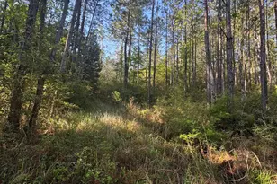 0 Blakeley Oaks Dr, Spanish Fort, AL 36527 - Photo 1