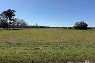 0 Gopher Ct, Elberta, AL 36530 - Photo 1