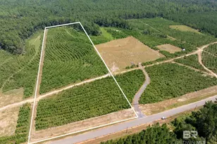 0 Horseneck Rd, Bay Minette, AL 36507 - Photo 1