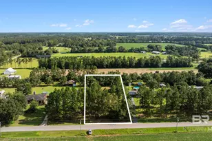 Lot 6 S County Road 62, Robertsdale, AL 36567 - Photo 1