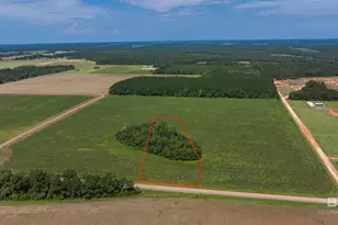 0 Cc Rd, Elberta, AL 36530 - Photo 1
