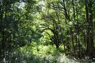 0 Boothe Rd, Fairhope, AL 36532 - Photo 1