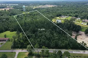 2300 Blk Welcome Rd, Cantonment, FL 32533 - Photo 1